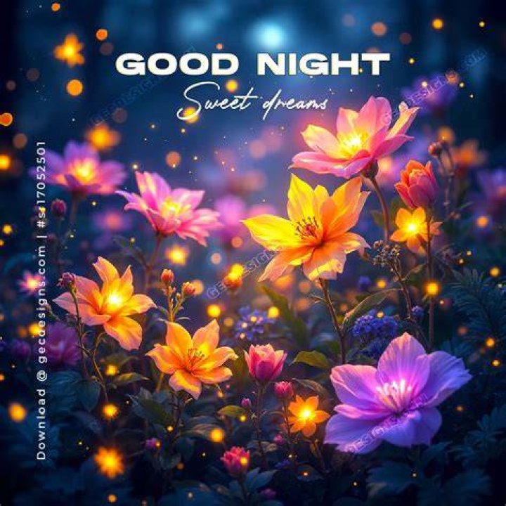 Delightful Good Night Images For The Loveliest Dreams