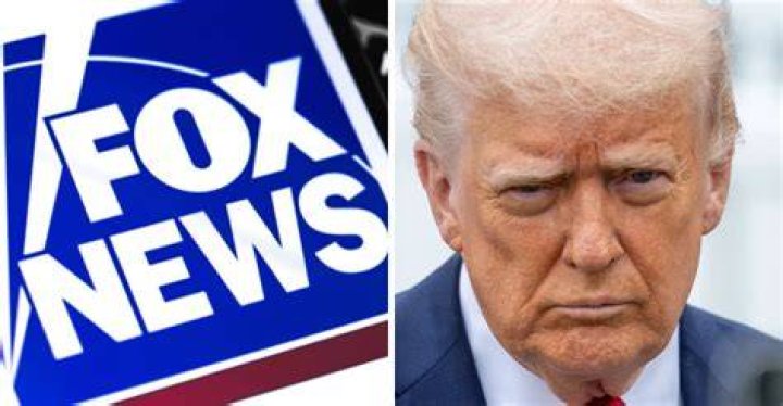 Fox News' Tammy Bruce Don't Cancel Don Lemon